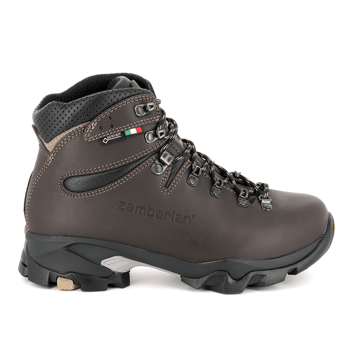 /zamberlan-vioz-gtx-backpacking-boot-mens-10270208/p?skuId=929614