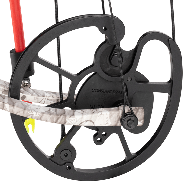 Cajun Archery Sucker Punch Bowfishing RTF Bow 