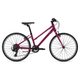 Liv Alight Bike 24 Womens' - 2021.jpg