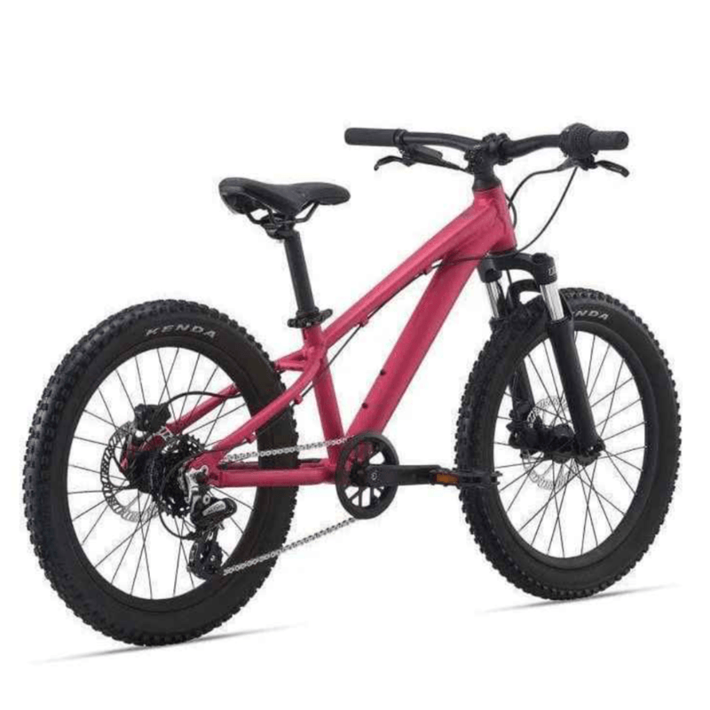 Kids cheap liv bike