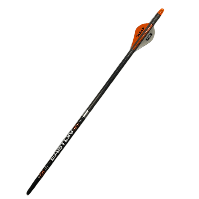 NWEB---EASTON-ARROW-HUNTER-CLASSIC-3FLCH-1PK.jpg