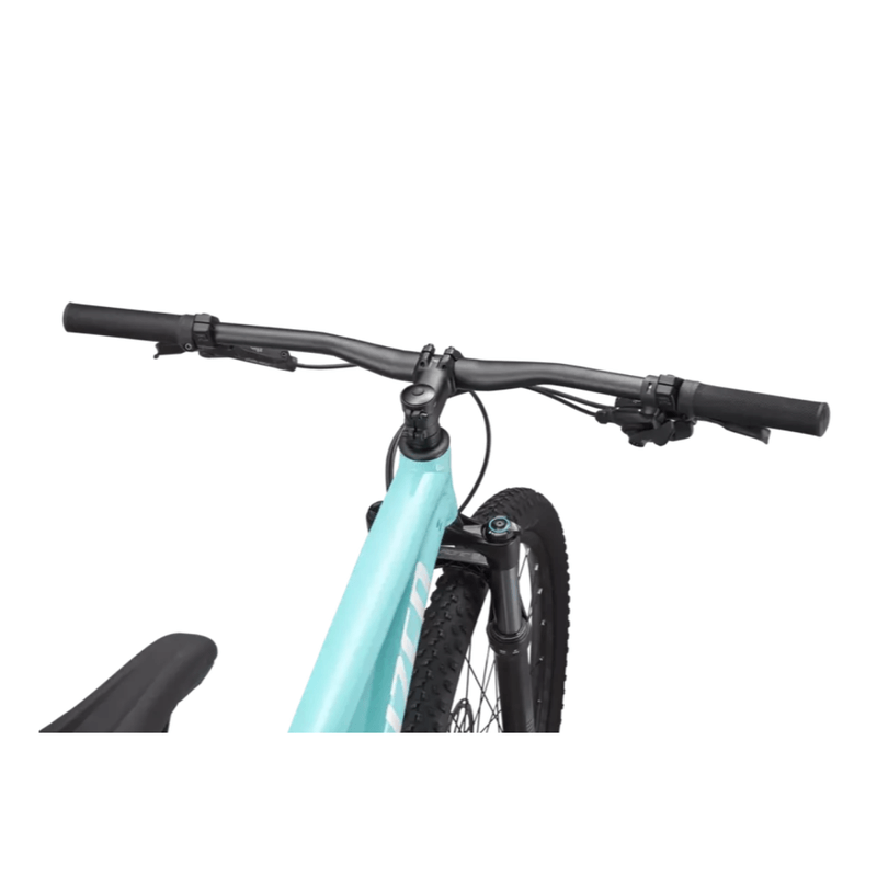 Specialized store rockhopper handlebars