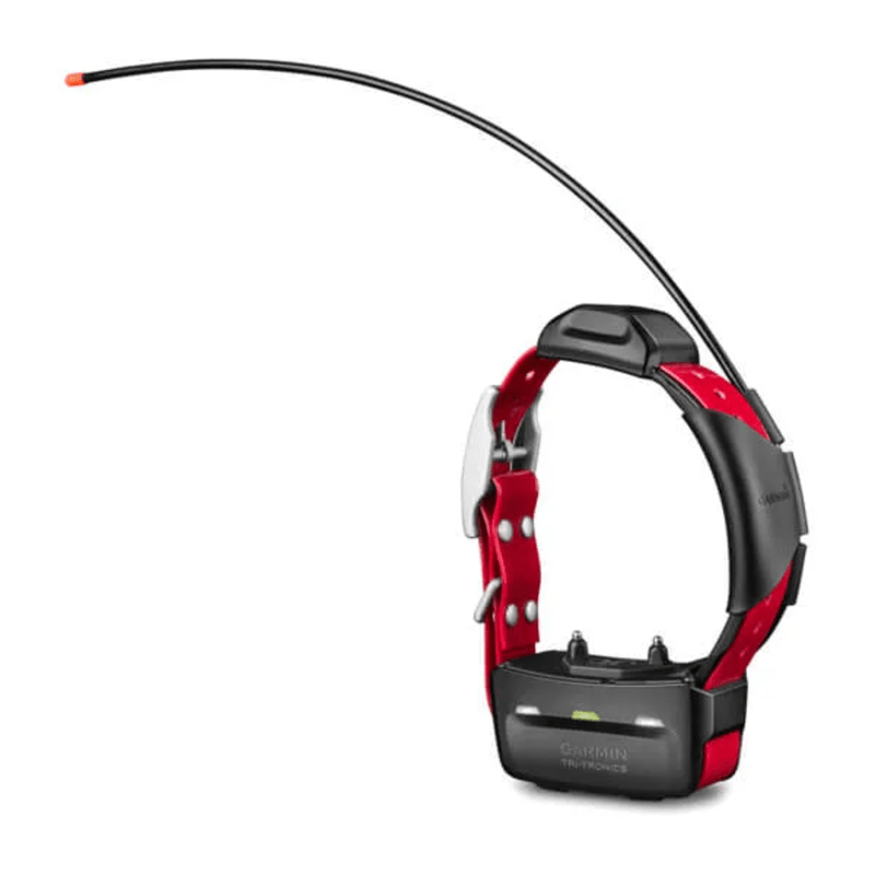 Garmin-TT-15X-Dog-Collar.jpg