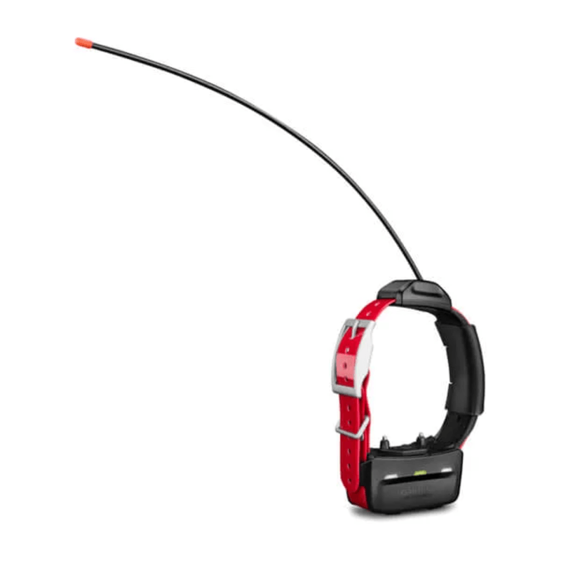 Garmin-TT-15X-Dog-Collar.jpg