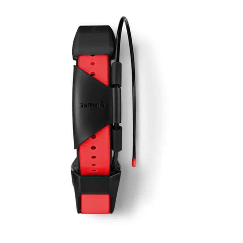 Garmin-TT-15X-Dog-Collar.jpg