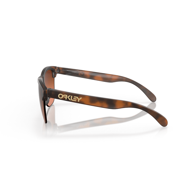 Oakley-Frogskins-Lite-Sunglasses.jpg