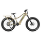 QuietKat Apex E-Bike - 2022.jpg