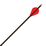 Gold-Tip-Black-Label-Quantum-Hunting-Arrow.jpg