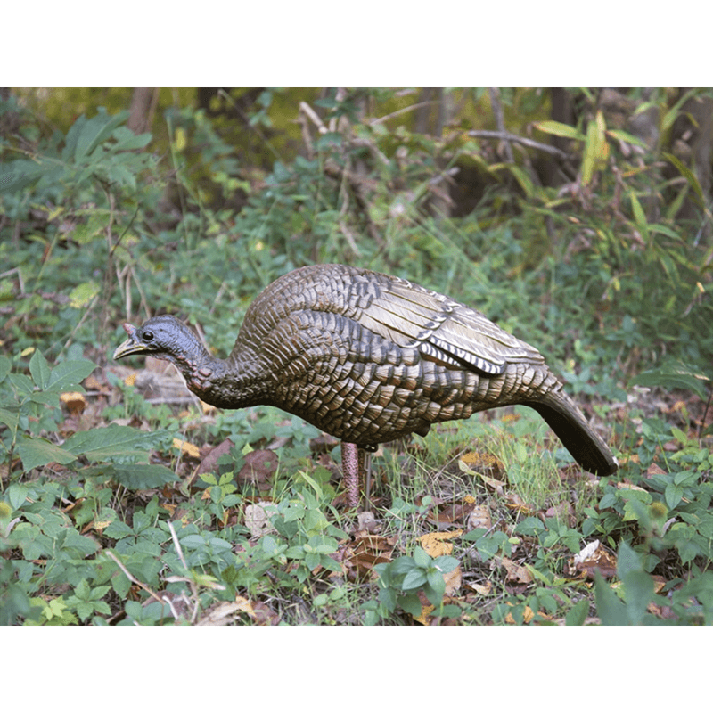 Higdon-Outdoors-Hard-Body-Feeder-Hen-Decoy.jpg