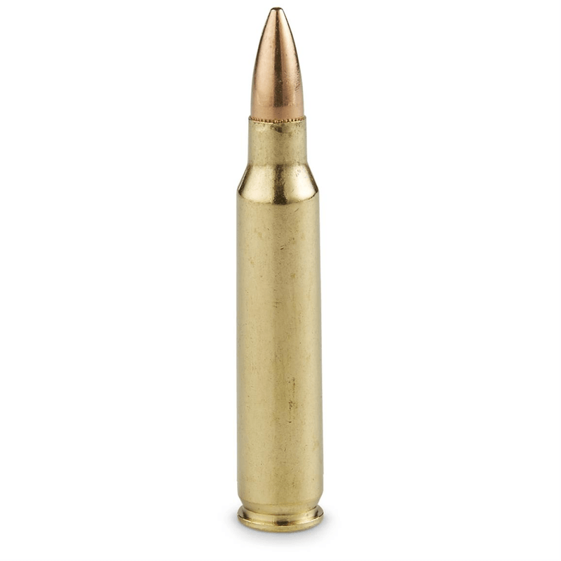 NWEB-3-15-2016-12-00-00-AM-AMMO-USA-TARGET.jpg