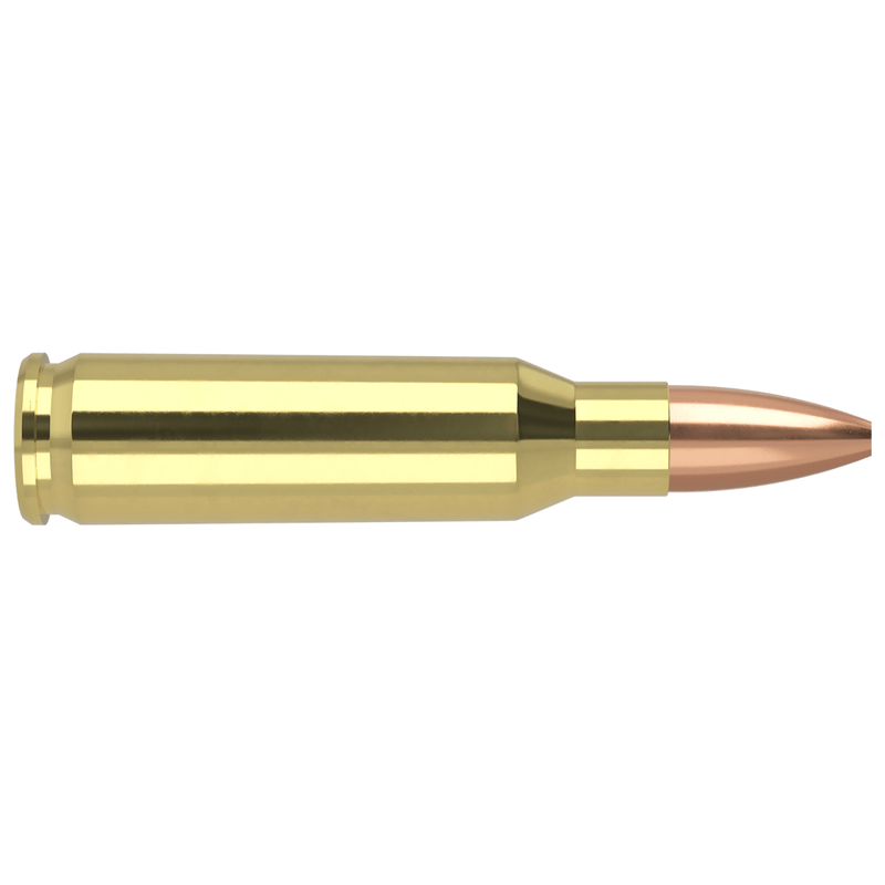 Nosler-221-REM-FIREBALL-40GR-FBHP-VARMAGEDDON-AMMUNITION.jpg