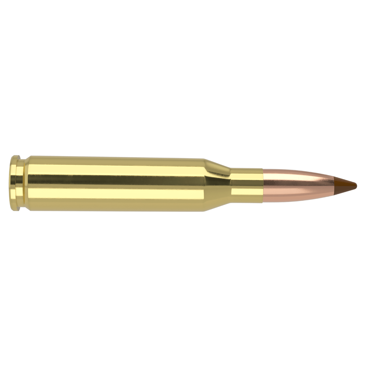 Nosler Ballistic Tip Hunting 260 Remington 120 Grain Ballistic Tip ...