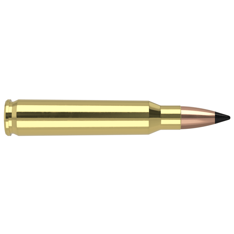 223-REM-55GR-FB-TIPPED-VARMAGEDDON-AMMUNITION.jpg