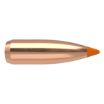 22-CALIBER-55GR-BALLISTIC-TIP-VARMINT--100CT-.jpg