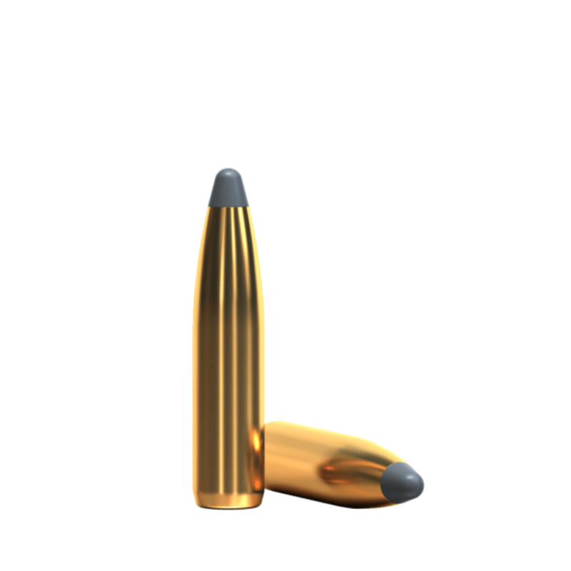 NWEB-7-30-2020-2-42-49-PM-AMMO-S-B-RIFLE.jpg