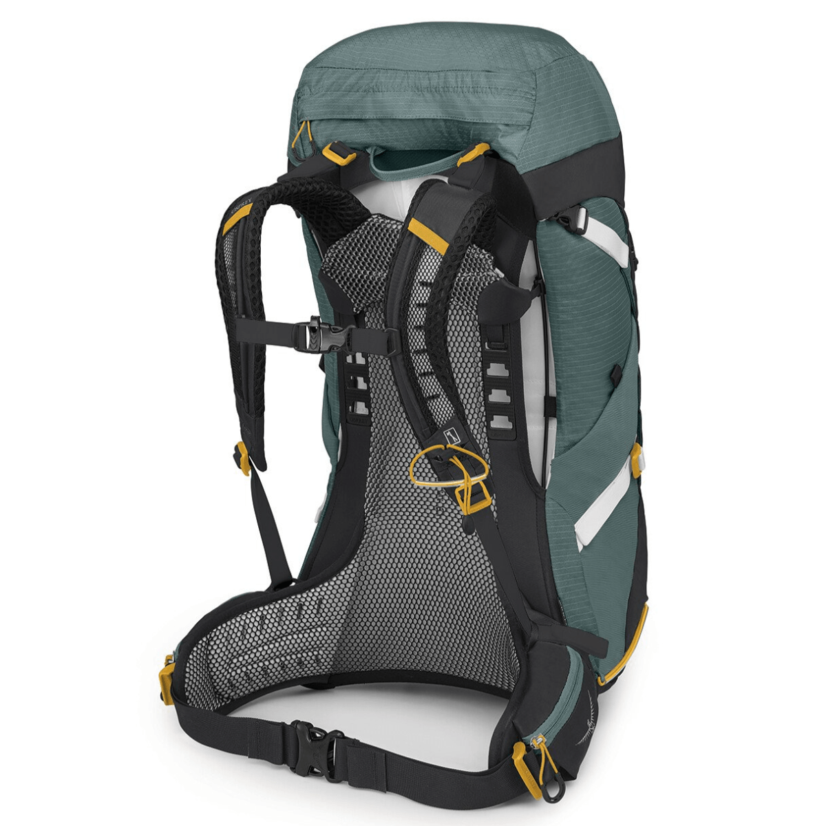 Osprey Sirrus 36L Backpack - Women's - Al's Sporting Goods: Your One-Stop  Shop for Outdoor Sports Gear & Apparel