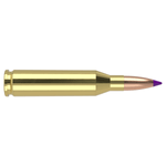 NWEB--AMMO-BALLISTIC-TIP-HUNTING.jpg