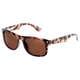 Carve Eyewear Swing City Polarized Sunglasses.jpg