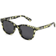 Carve Homeland Polarized Sunglasses.jpg