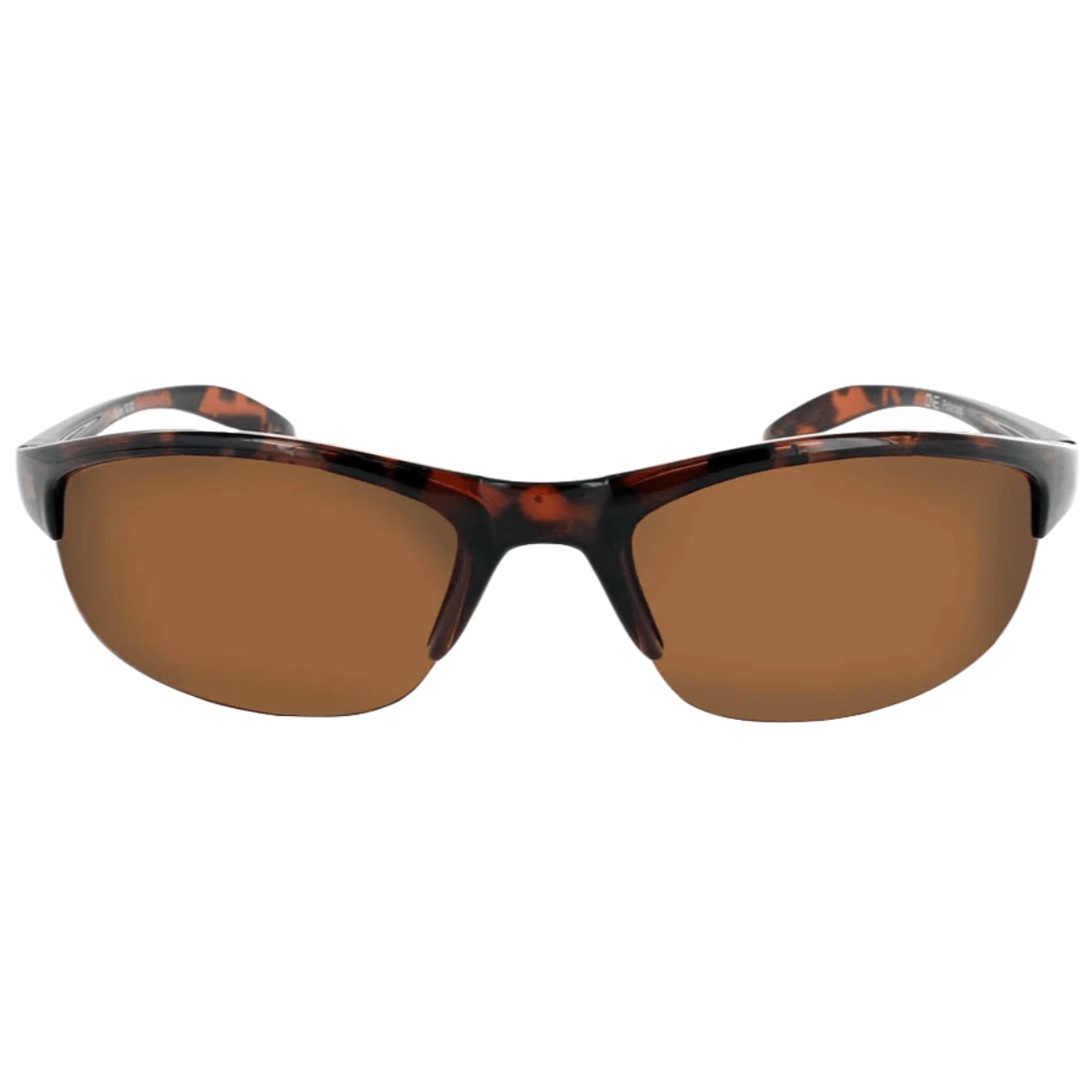 Optic Nerve Alpine Sunglasses
