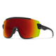Smith Optics Wildcat ChromaPop Sunglasses.jpg