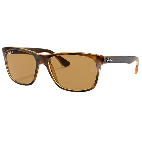 Ray-Ban RB4181 Sunglasses