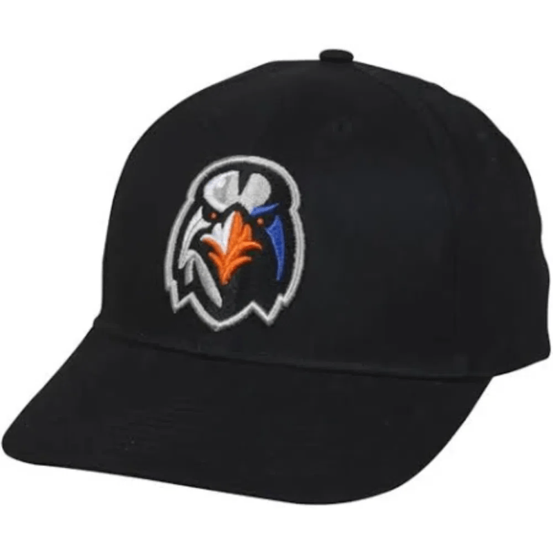 Outdoor-Cap-Minor-League-Baseball-Team-Hat.jpg