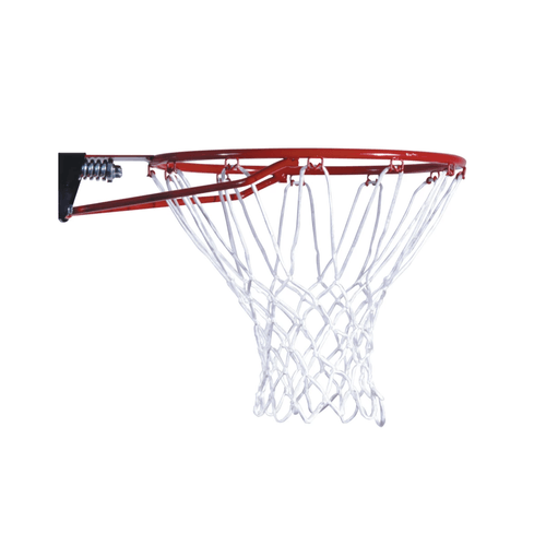 Lifetime Slam-It Basketball Rim