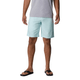 Columbia Washed Out Short - Men's.jpg