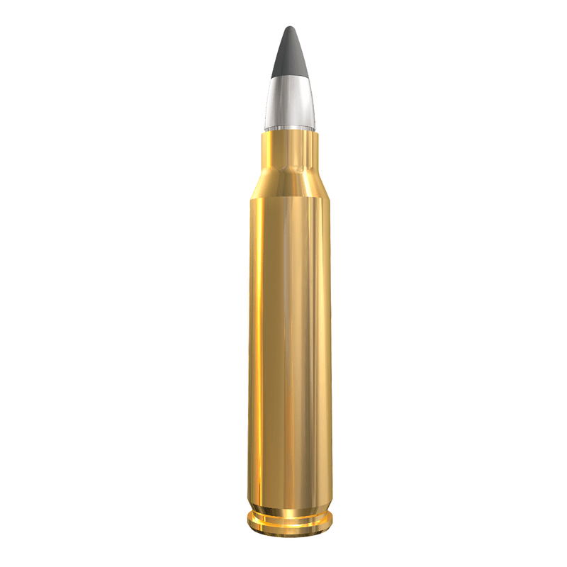 Winchester-Silvertip-Ammo.jpg