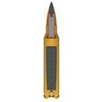 NWEB--AMMO-VARMINT-X.jpg