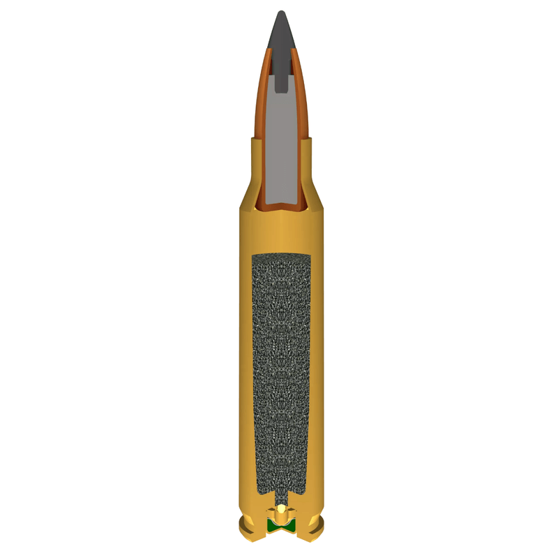 NWEB--AMMO-VARMINT-X.jpg