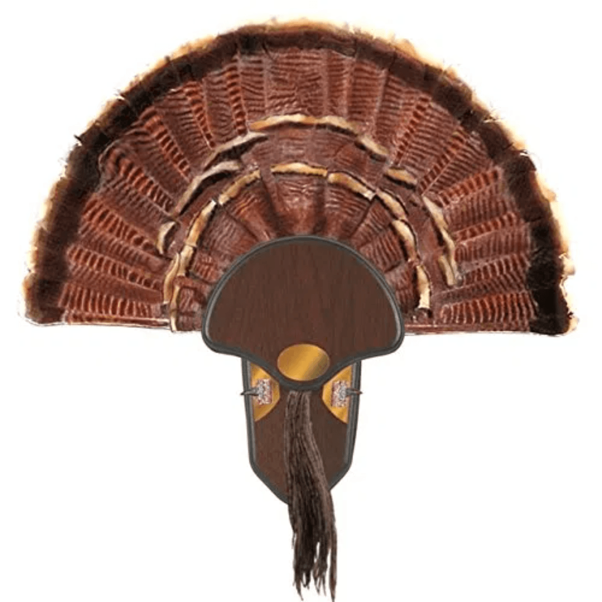 Allen Turkey Tail Mounting Kit