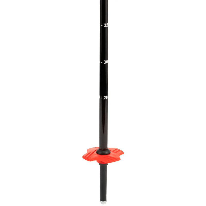 NWEB---ROSSIG-SKI-POLE-TELESCOPIC-JR.jpg