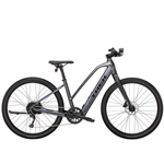 TREK-BIKE-23-DUAL-SPORT--2-STAGGER.jpg