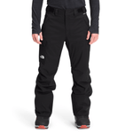 The North Face Freedom Insulated Pant - Men's 