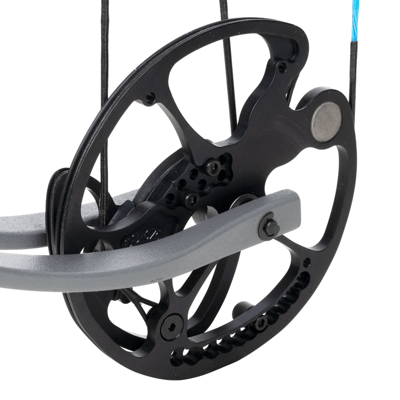 Bear-Archery-Prowess-RTH-Compound-Bow.jpg