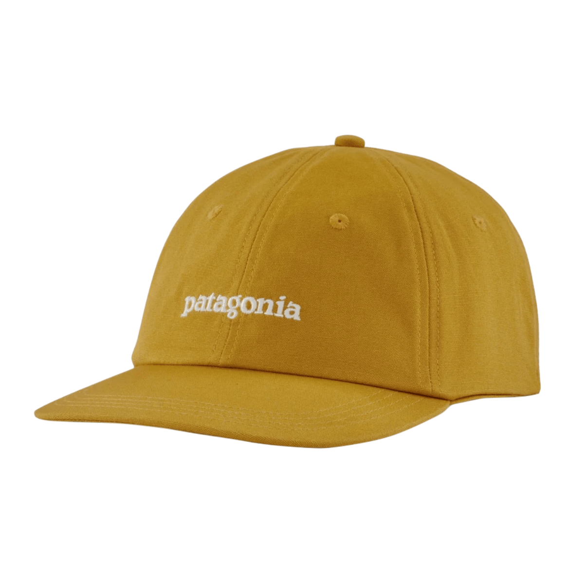 Patagonia Fitz Roy Icon Trad Cap