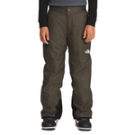 NORTHF-BOYS-FREEDOM-INSULATED-PANT.jpg