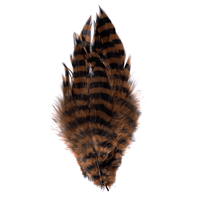 MFC-Barred-Schlappen-Feathers.jpg