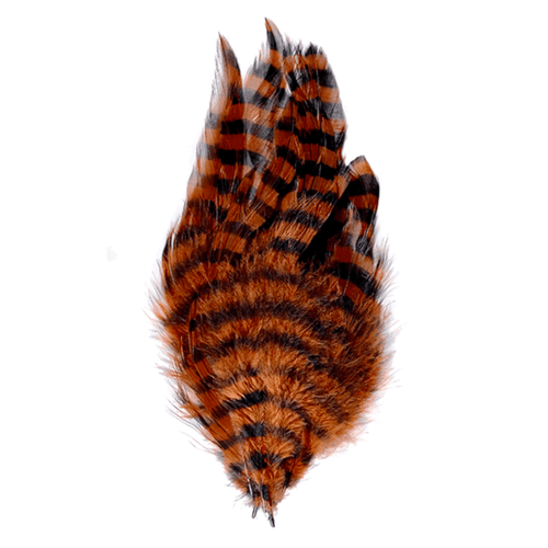 MFC Barred Schlappen Feathers