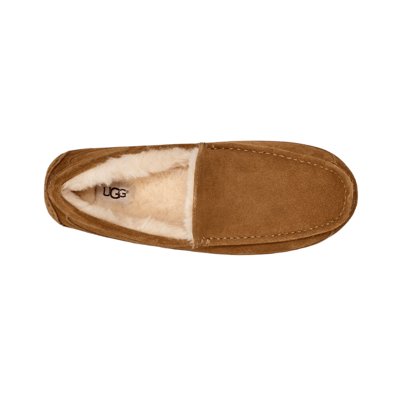 Ugg ascot slippers outlet mens