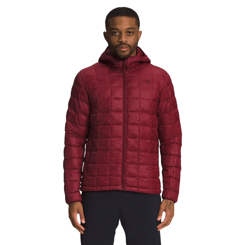The-North-Face-ThermoBall-Eco-Hoodie-2.0---Men-s.jpg