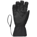 Scott-Ultimate-GORE-TEX-Glove---Men-s.jpg