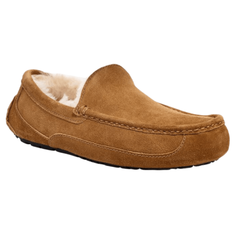 UGG-Ascot-Slipper---Men-s.jpg