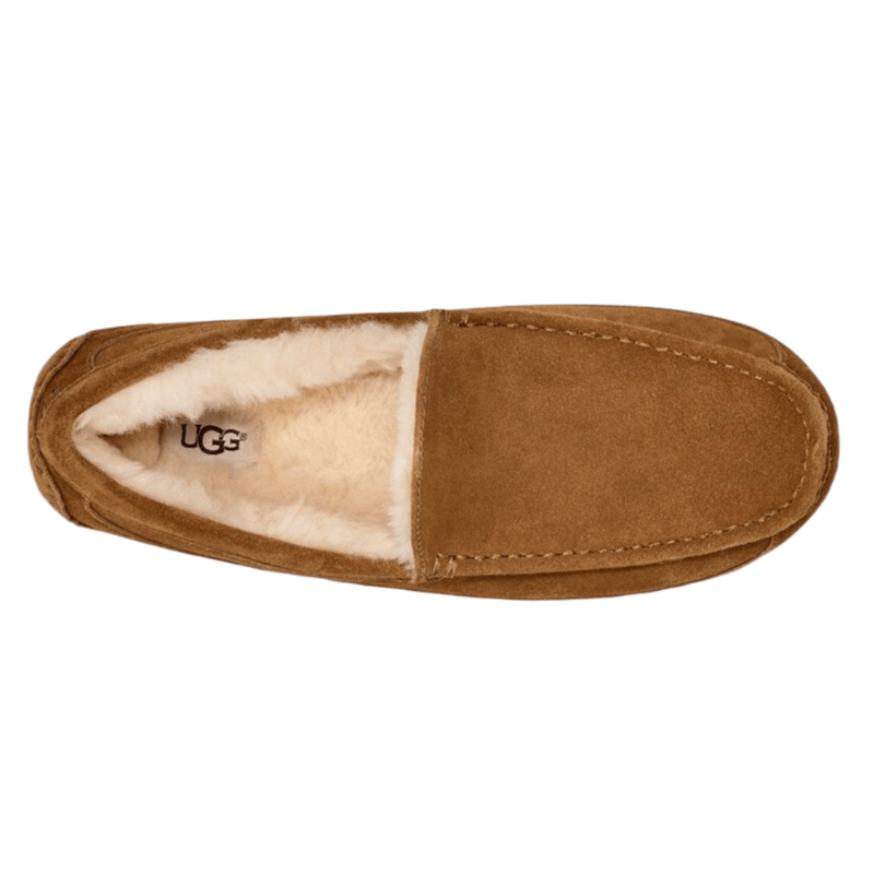 UGG-Ascot-Slipper---Men-s.jpg