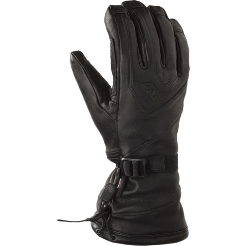 Gordini All Mountain Leather Glove - Women's