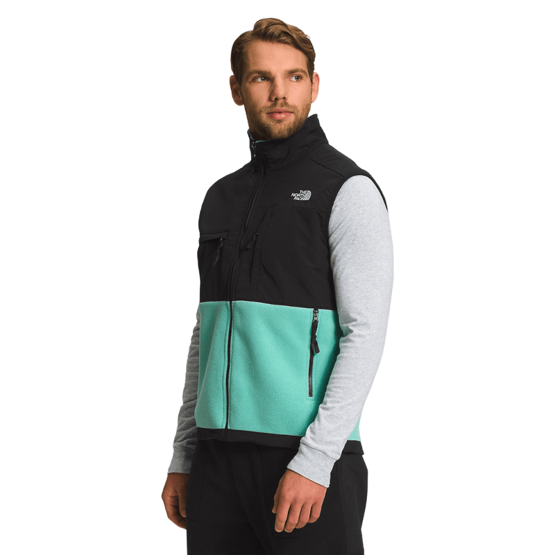 The north face men's outlet denali 2 fleece jacket