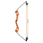Bear Archery Apprentice Bow Set.jpg
