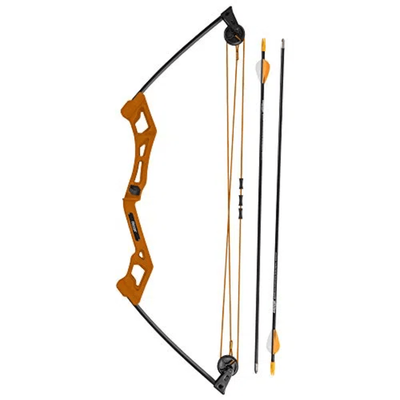Bear Archery Apprentice Bow Set.jpg